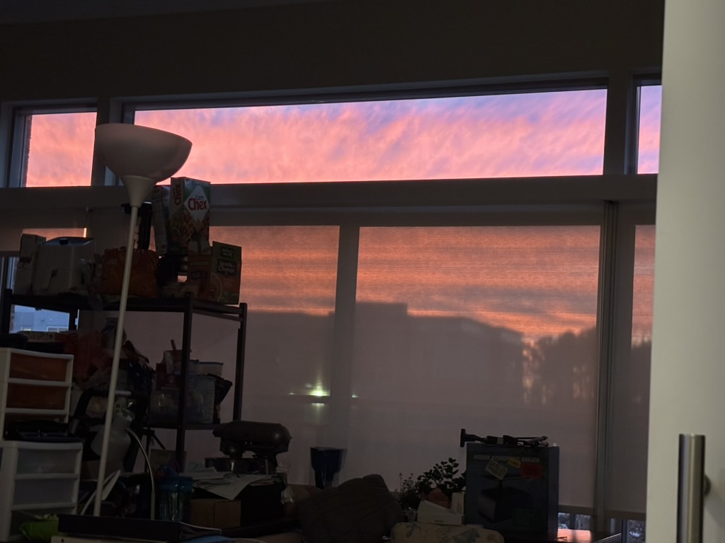 the view of a pink sunset from my apartment window